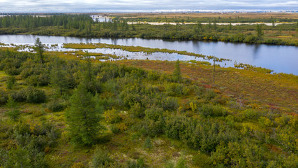Landscape of the forest-tundra and the sandy river bank, bird's eye view.Arctic Circle, tunda