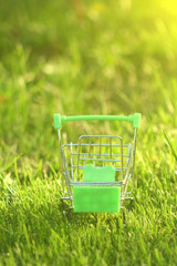 mini shopping trolley in the grass, which is covered by sun rays symbolizing marketing, shopping and business.