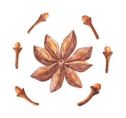 Watercolor star anise & clovers isolated on white background