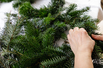 Hands of a woman make Christmas Advent wreath from fir twigs