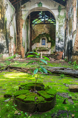 Interior of the ruins of the church at Engenho Amparo (a sugar cane farm dating back to the 17th...