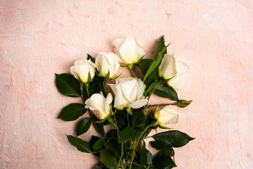 White roses on pink background