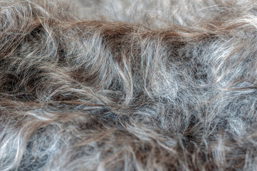 The texture of a gray fluffy knitted scarf close-up. Traditional Russian Orenburg shawl.