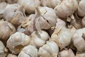 Close-up of garlic bulbs on grocery store shelf © Ivan Traimak