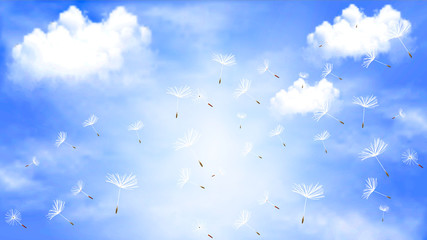 Flying dandelion against the sky with clouds, vector art illustration.