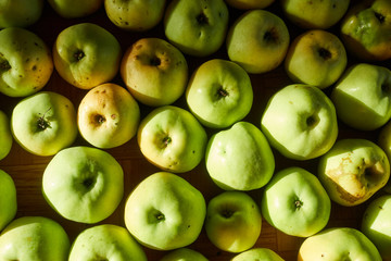 Background of many ripe apples on the floor