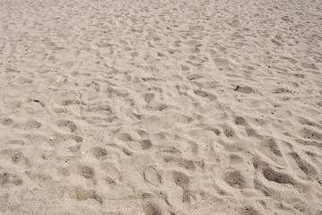 日本の海水浴場