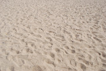 日本の海水浴場