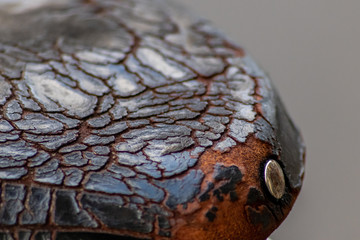 Maroder und verwitterter alter Fahrradsattel / Ledersattel mit komfortabler Federung aus Metallfedern sorgt für umweltfreundlichen Fahrspaß im Straßenverkehr ohne Abgase und emissionsfrei