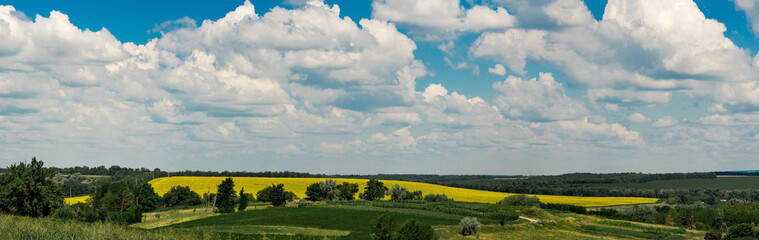 Obraz premium Landscape with fields of corn, sunflowers overlooking a green forest. Cherkasy region, Ukraine