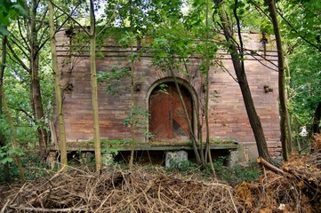 Ruins, old ruined abandoned stone house without roof with vegetation, in a thicket of trees....