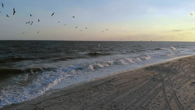 Slow motion aerial drone footage of the behavior of nesting and migrant birds flying in groups over the waters of Lido beach,Long island,New York,at sunset