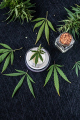 Fototapeta na wymiar Natural cannabis cream, hemp, moisturizing CBD lotion. Cosmetic product
