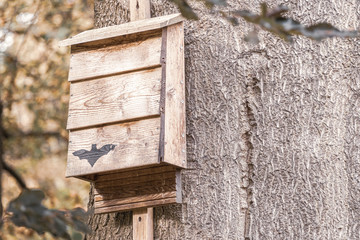 a bat box hangs from a tree in the forest and provides shelter for bats