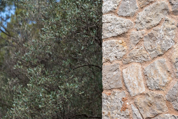 STONE WALL BACKGROUND WITH COPY PASTE SPACE