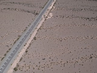 Fototapeta premium Detail of road in desert