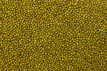 Closeup image of green mung beans pile as food background. Healthy lifestyle concept.