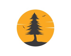 pines tree vector illustration design