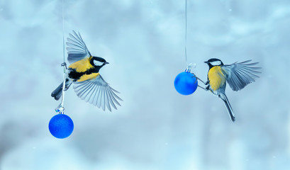 Christmas holiday table card with two birds the Wren flies close glass blue balls in Park at winter