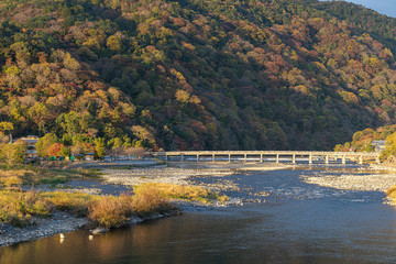 Obraz premium 《京都・秋》早朝の嵐山の紅葉と渡月橋の風景