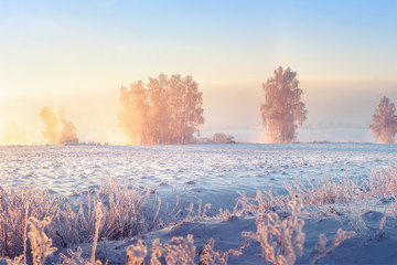 Sunny winter morning. Beautiful winter scene in frosty morning. Winter morning sunrise. Trees on snowy meadow in frost