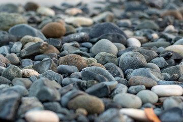 Sea Stones Close-up