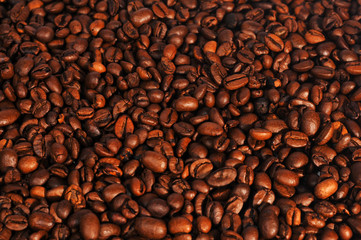 Coffee beans studio shooting