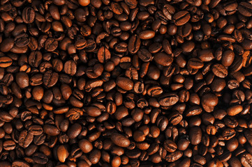 Coffee beans studio shooting