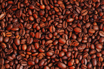 Coffee beans studio shooting