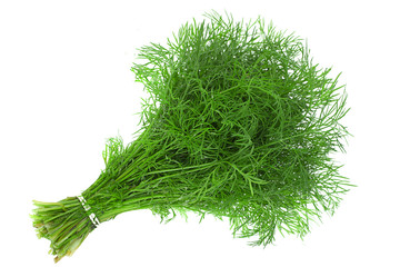Dill herb bunch