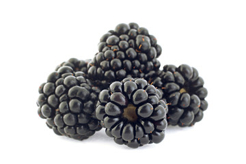 Blackberry berry closeup
