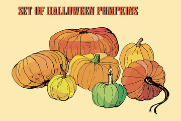 set of pumpkins , isolated images on colored background, doodles 