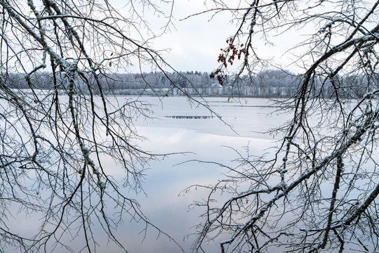 view to the lake Katvari through the tree branches in winter season with snow and ice in Latvia