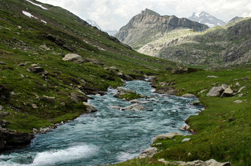 Naklejka na ściany i meble Stream in the mountains, Alps, France