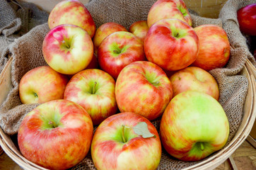 A basket full of delicious honey crisp apples.