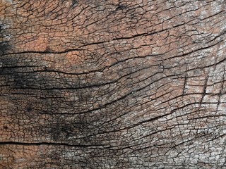 texture of wood, Wooden crack background, old brown wood 