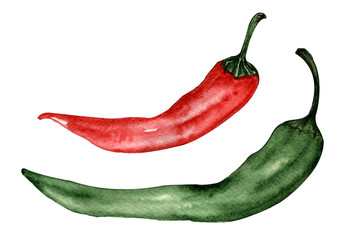 watercolor illustration. hand painting . set of two hot chili peppers. red and green. on white background.