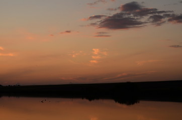 Fototapeta na wymiar Sunset grass on river sunset landscape