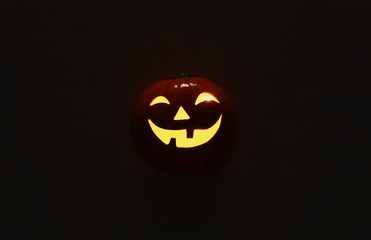 holidays halloween concept image of cute Pumpkin