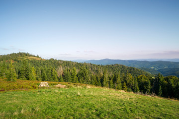 Gorce, las świerkowy na zboczu Przysłup, w oddali szczyt Lubania © Piotr Szpakowski