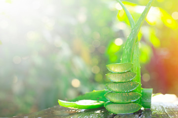 Slice Aloe Vera on wood, fresh aloe vera leaves, herbal medicine for skin care and hair care.