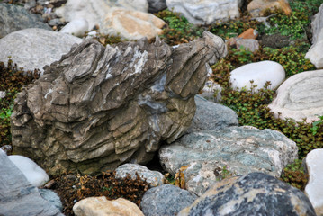 rocks in a garden as a decoration