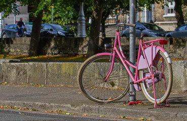Fototapeta na wymiar Pink bike bicycle on tree lined street, Grand Canal, Dublin, Ireland. Cyclist and green trees in background on sunny day