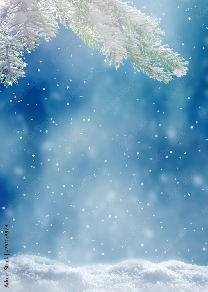 Wall mural Beautiful snowy winter landscape with a snowy fir branch, snowflakes and blue sky. Winter christmas background.