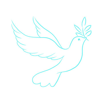 Beautiful, line sketch, dove, bird, vector illustration