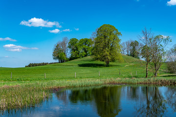 Sufferloher Weiher am Fuße des Frauenbergerls