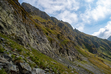 Fototapeta na wymiar Mountain path crossed by a tourist at the base of the Carpathian mountains