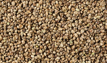 Hemp seeds background and texture