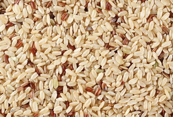 Integral uncooked rice background and texture, macro