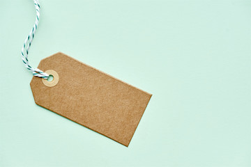 Blank brown gift tag with geen and white twine. Kraft carton label on light green background with copy space. Shopping, sale, celebration or anniversary concept.
